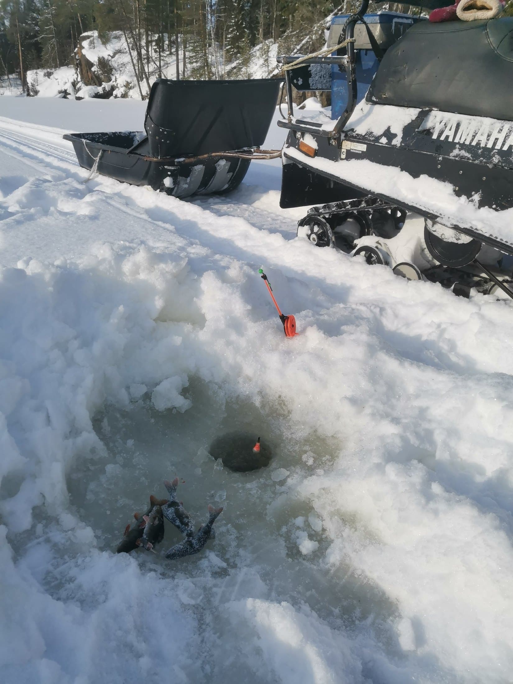 Морская рыбалка на Белом море