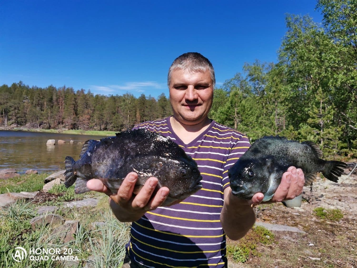 Рыбалка на Белом море и северных водоемах в Чупе