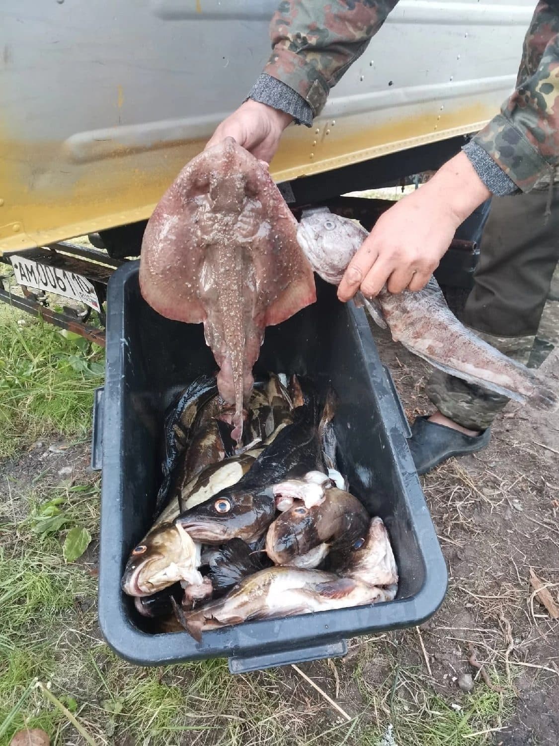 Рыбалка на Белом море и северных водоемах в Чупе