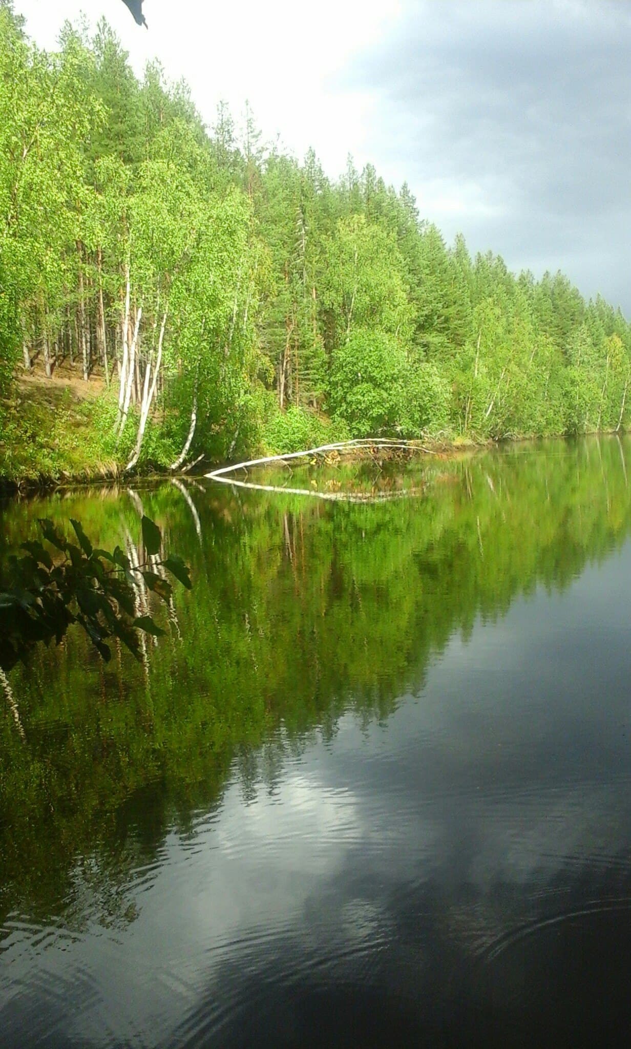 Белое море и северный берег у поселка Чупа