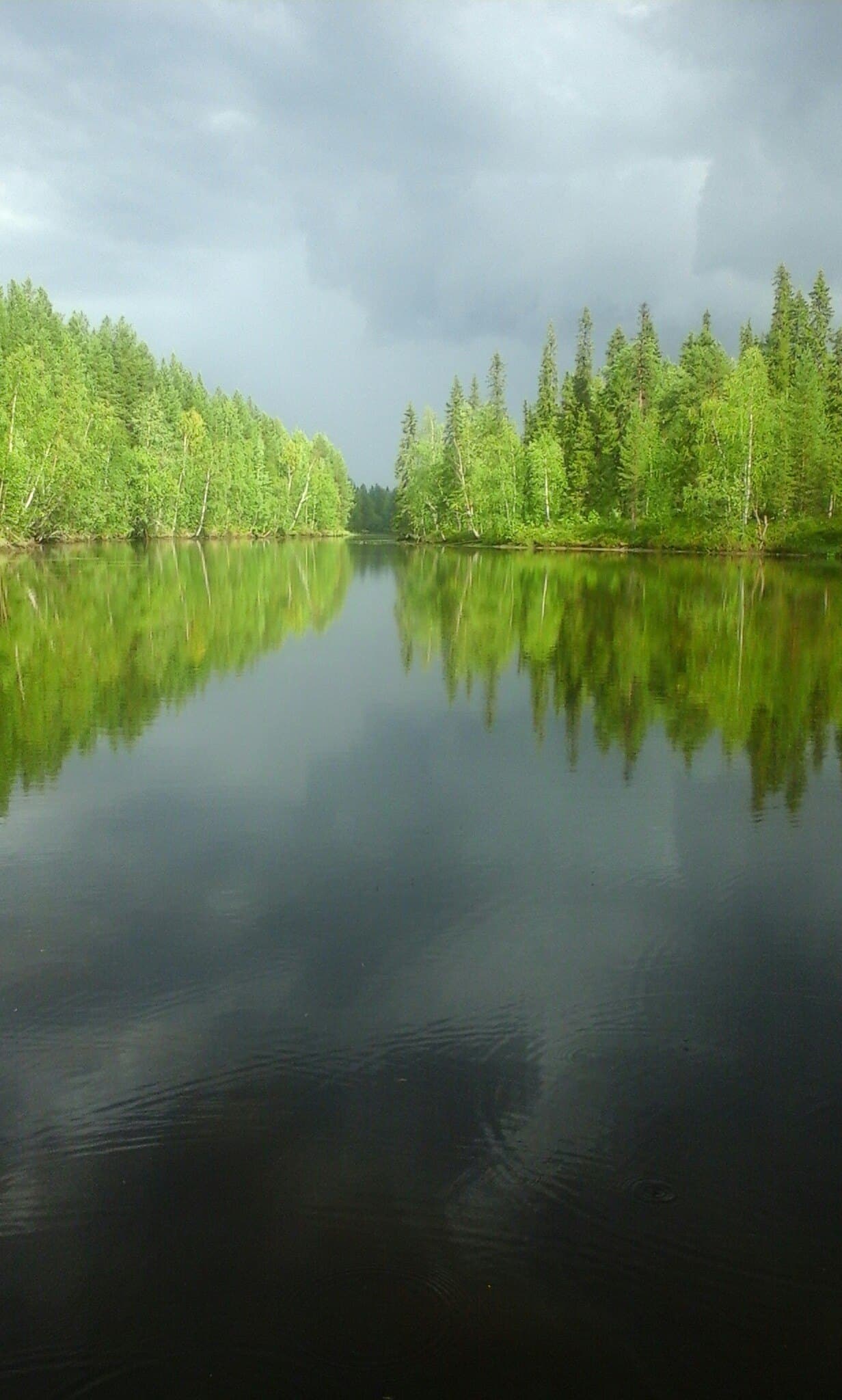 Белое море и северный берег у поселка Чупа