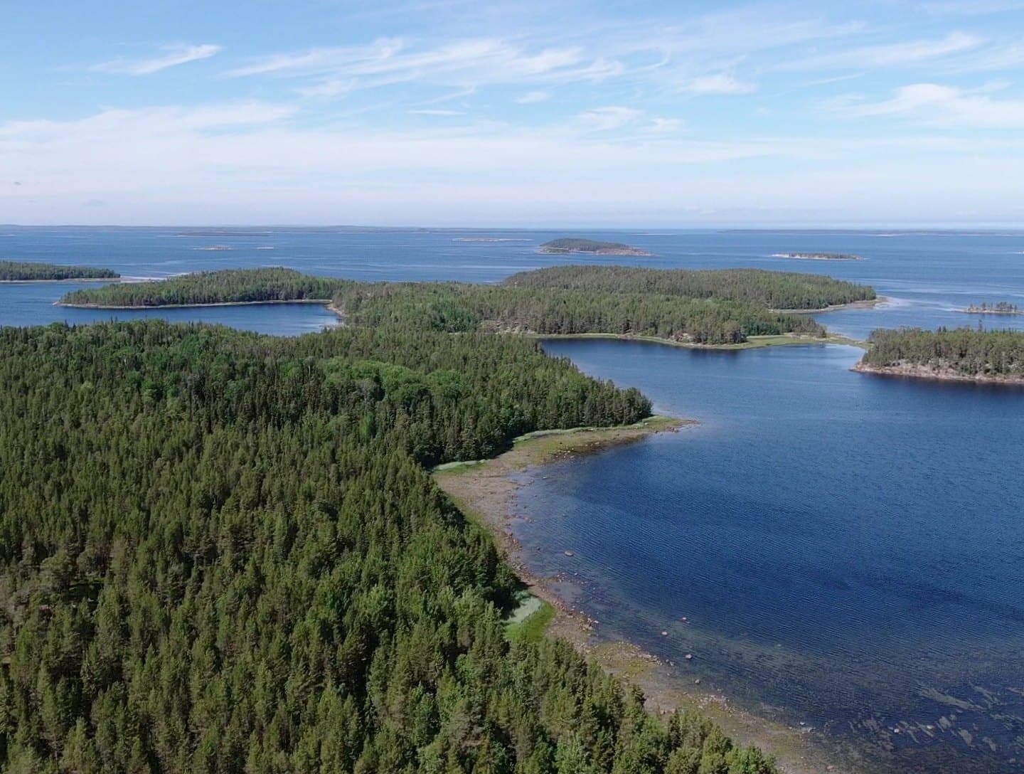 Белое море и северный берег у поселка Чупа