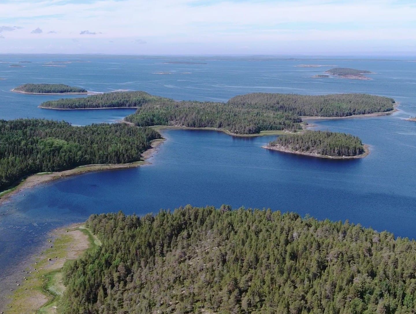 Белое море и северный берег у поселка Чупа