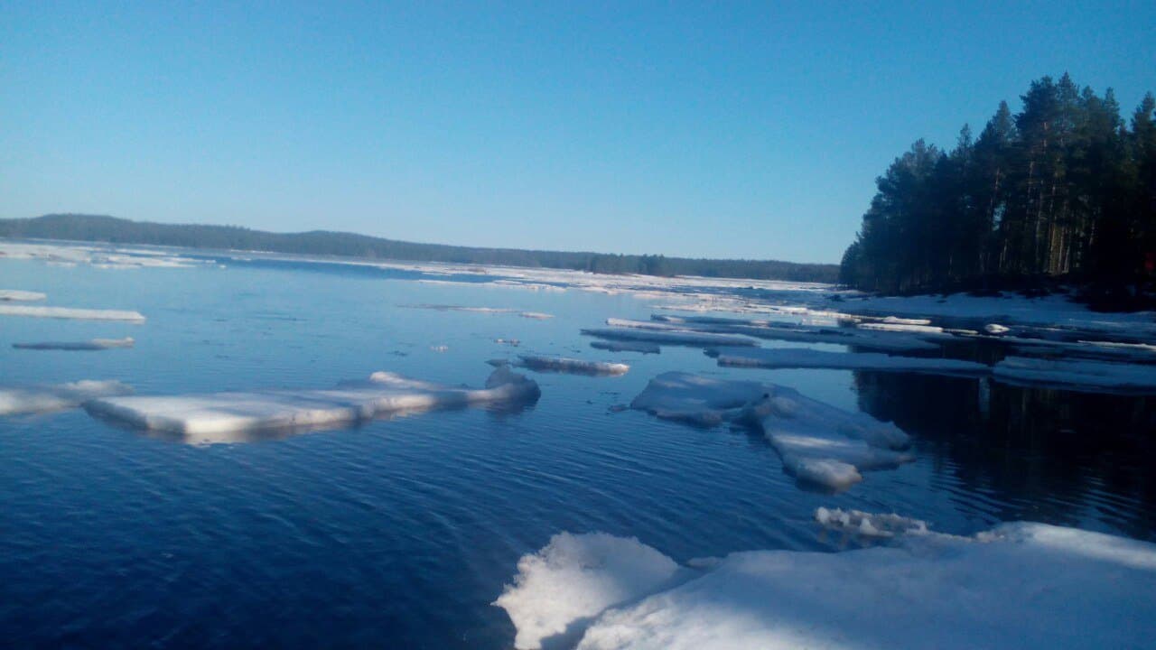 Белое море и северный берег у поселка Чупа