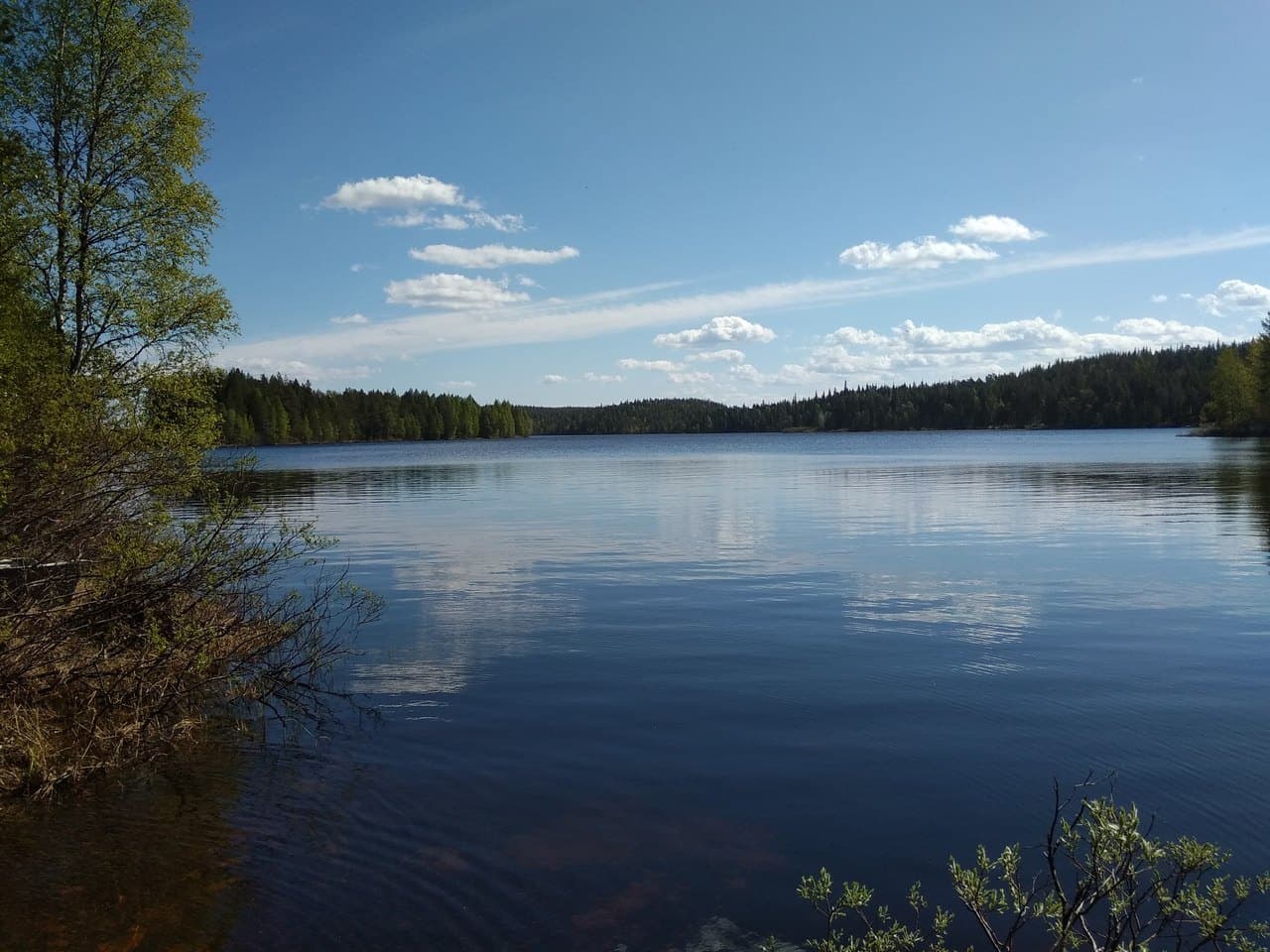 Белое море и северный берег у поселка Чупа