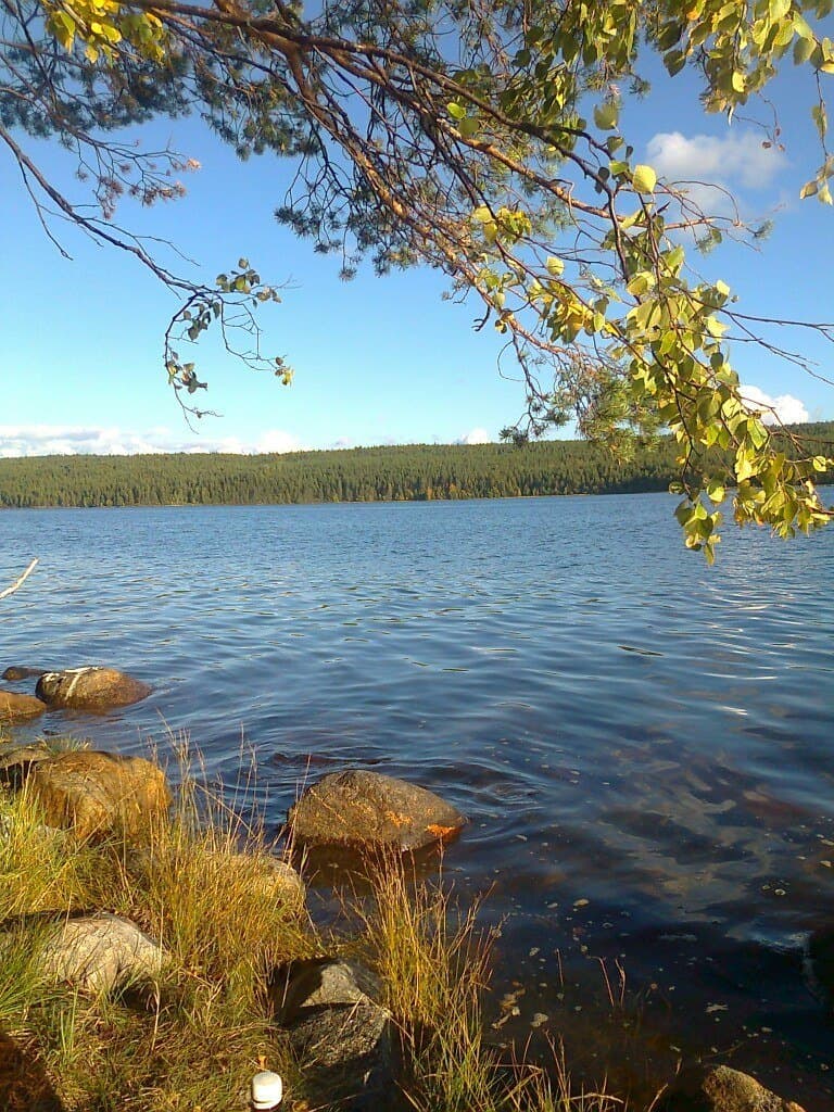 Белое море и северный берег у поселка Чупа